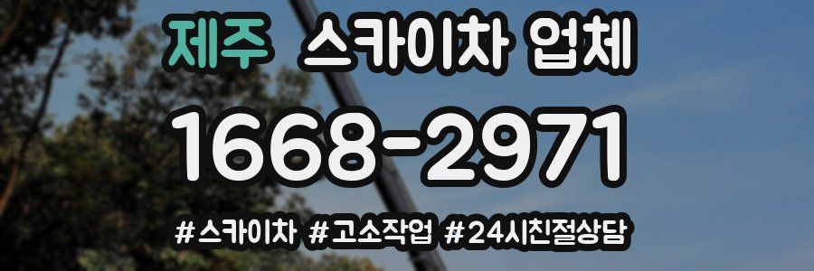 제주 스카이차 업체