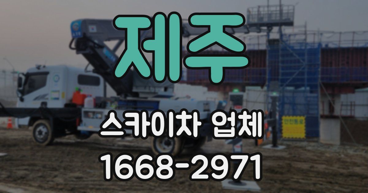 제주 스카이차 업체