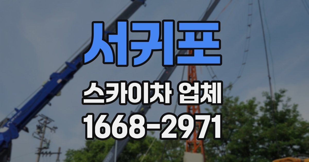 서귀포 스카이차 업체