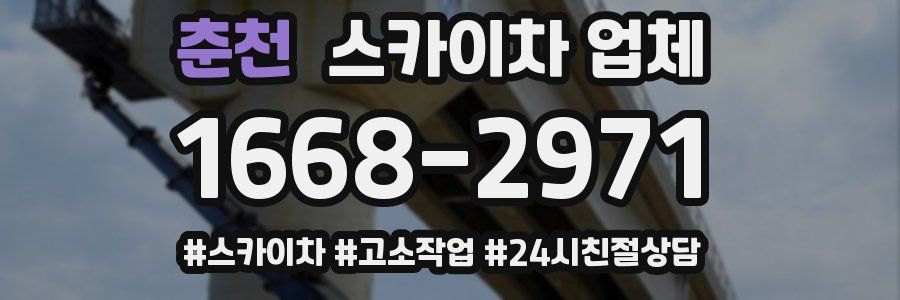 춘천 스카이차 업체