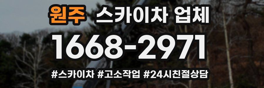원주 스카이차 업체