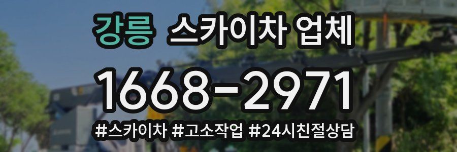 강릉 스카이차 업체