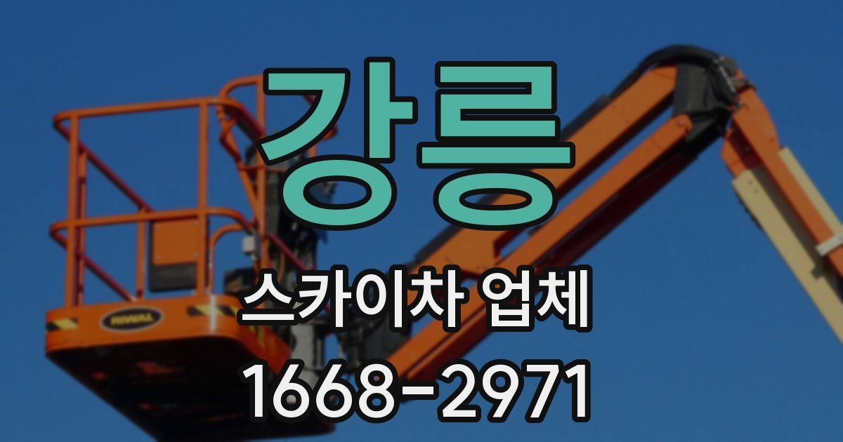 강릉 스카이차 업체