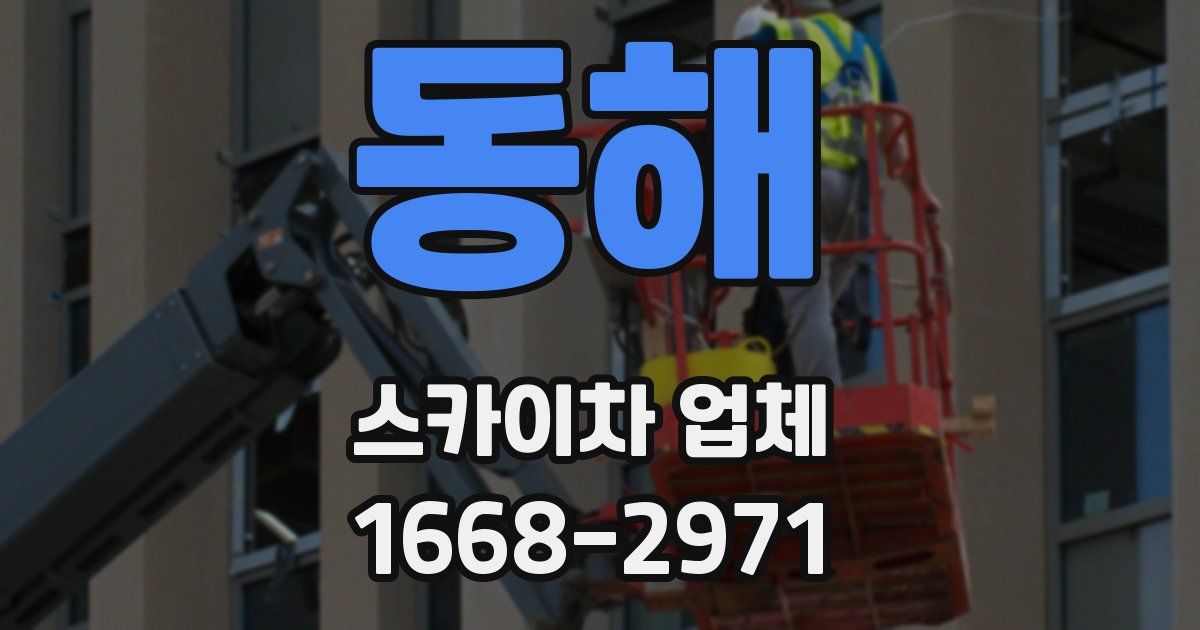 동해 스카이차 업체