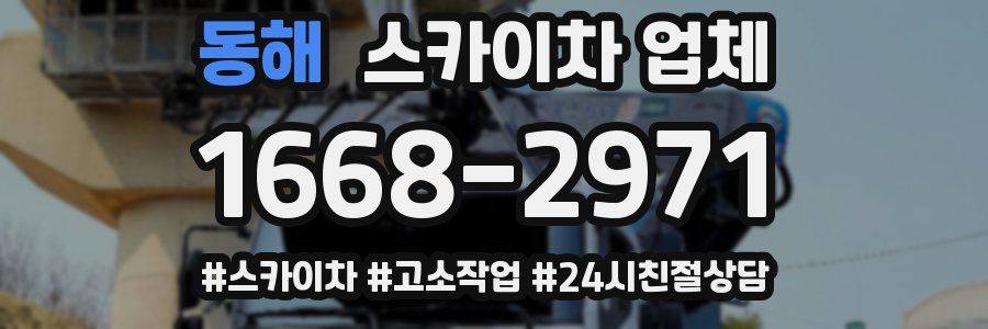 동해 스카이차 업체