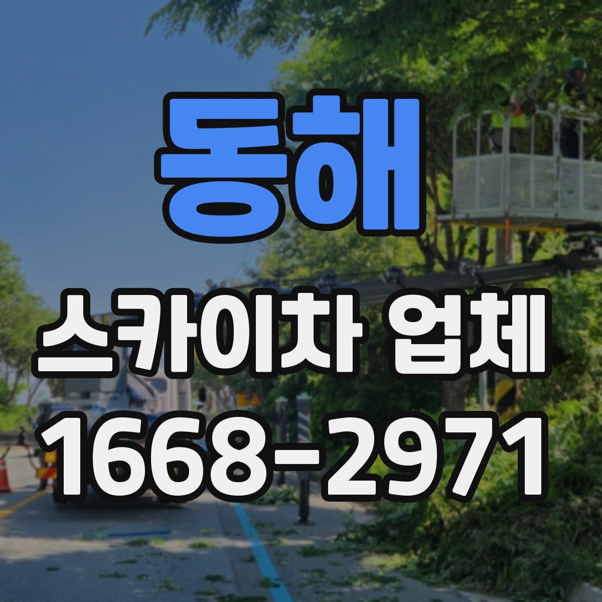 동해 스카이차 업체