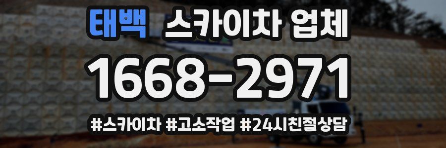 태백 스카이차 업체