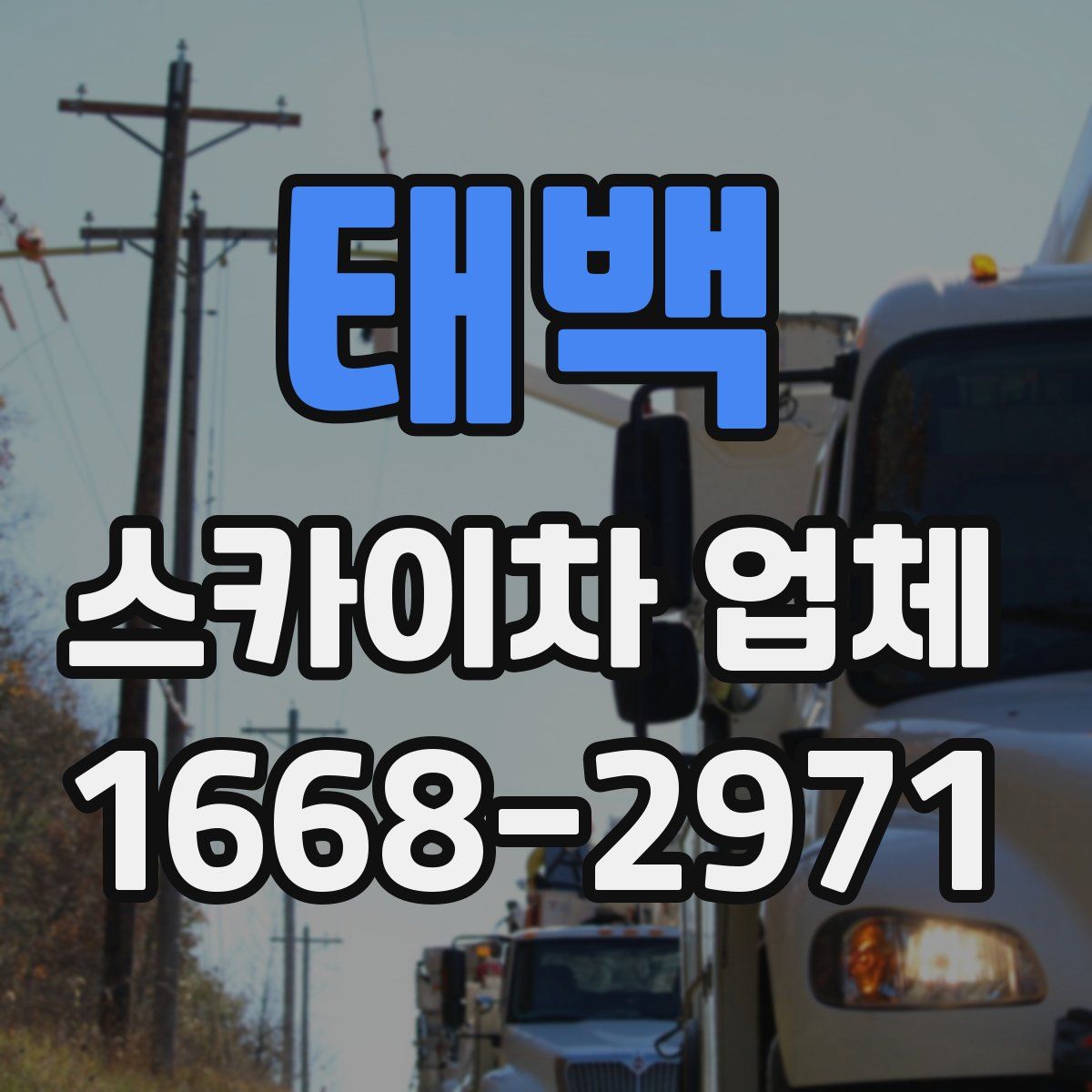 태백 스카이차 업체