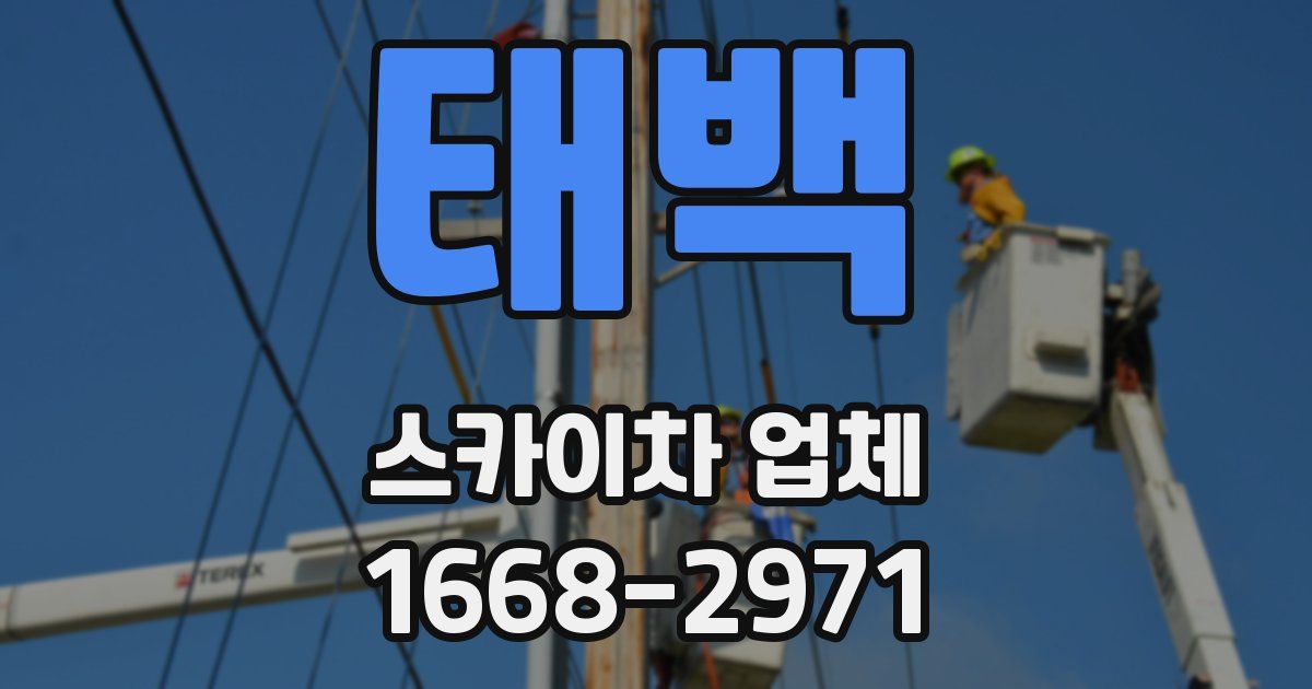 태백 스카이차 업체