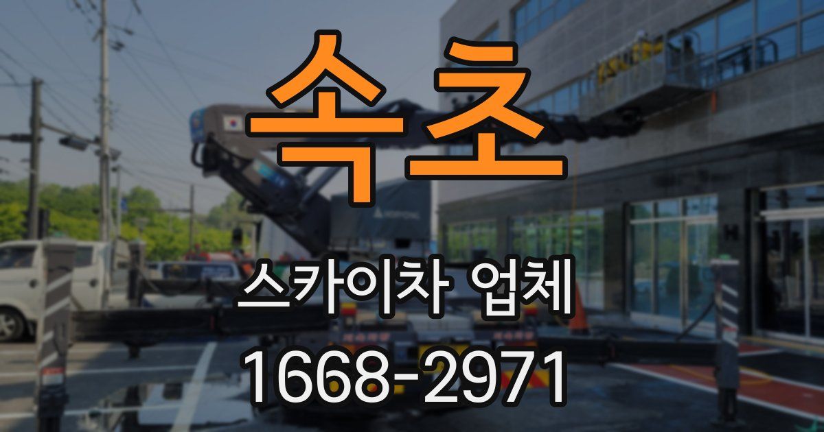 속초 스카이차 업체