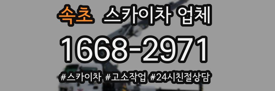 속초 스카이차 업체