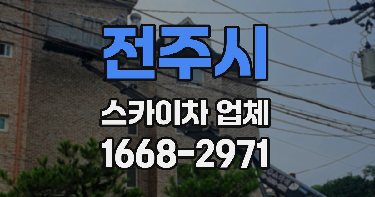 전주시 스카이차 업체