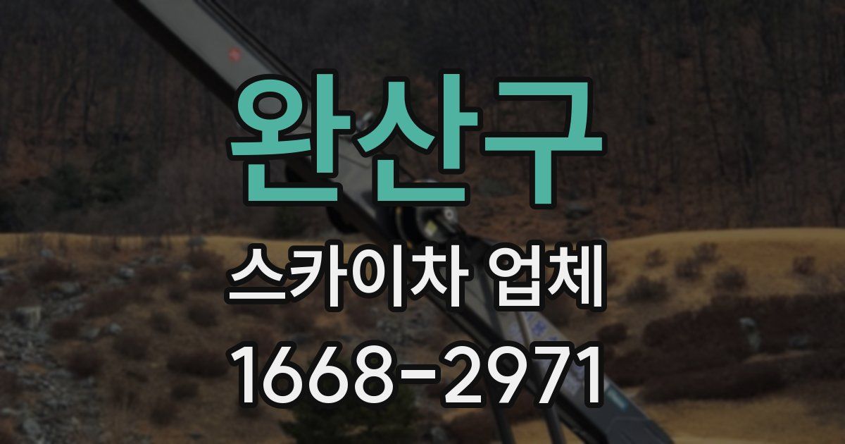 완산구 스카이차 업체