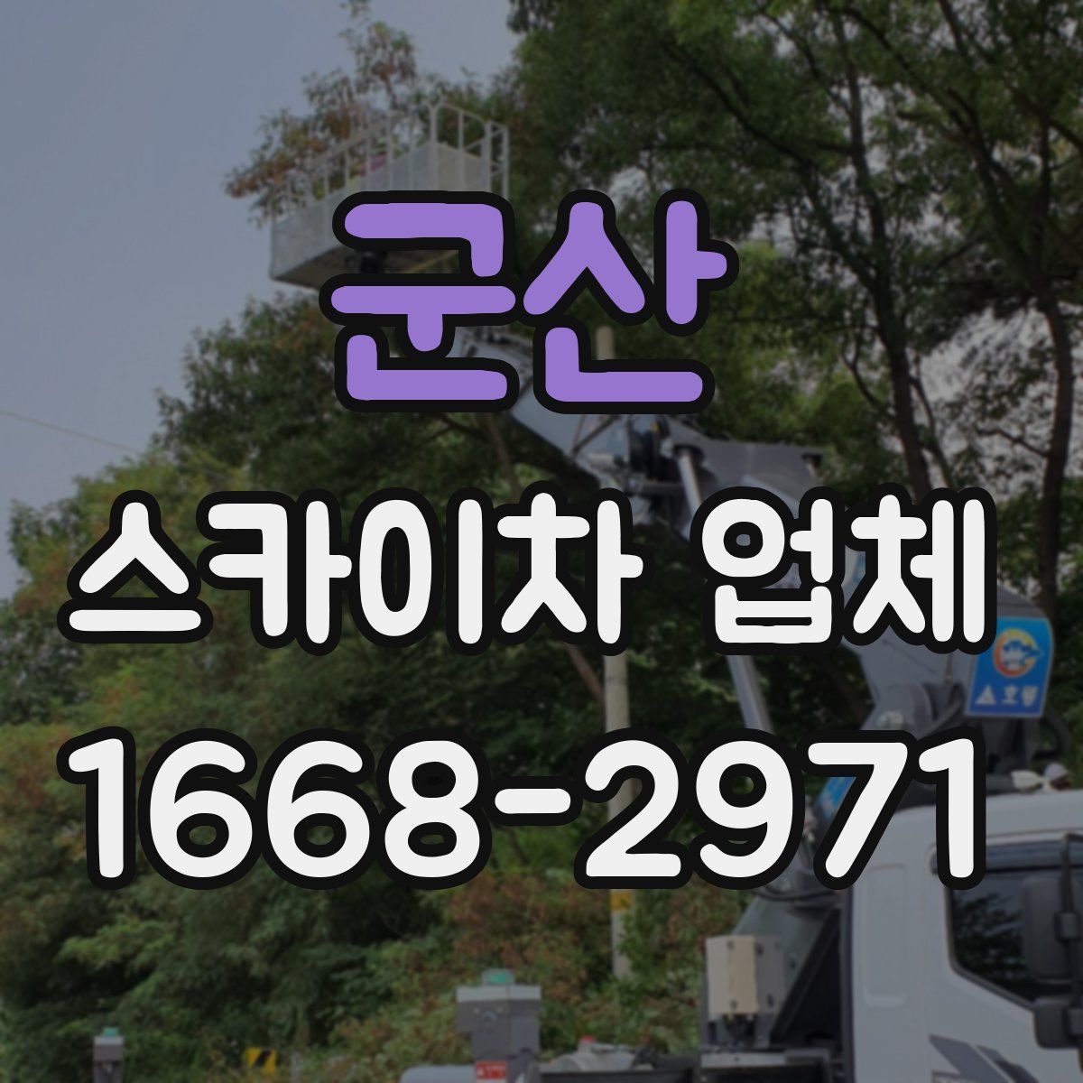 군산 스카이차 업체