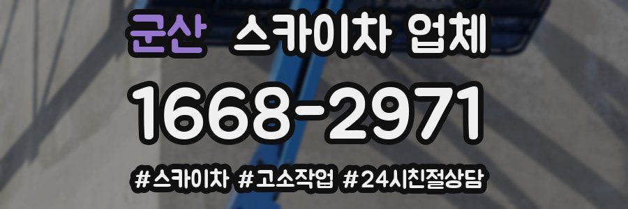 군산 스카이차 업체