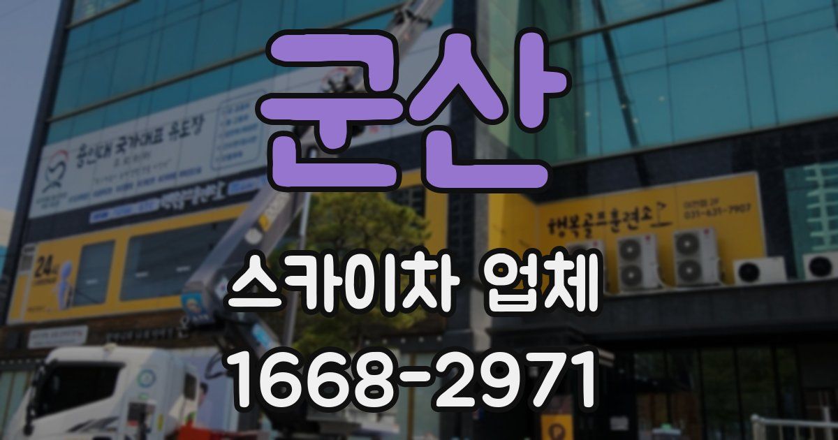 군산 스카이차 업체
