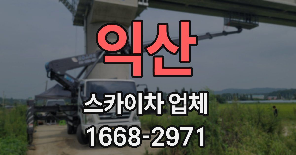 익산 스카이차 업체