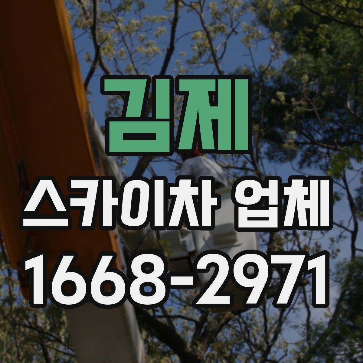 김제 스카이차 업체 찾을 때 비교해볼 항목들