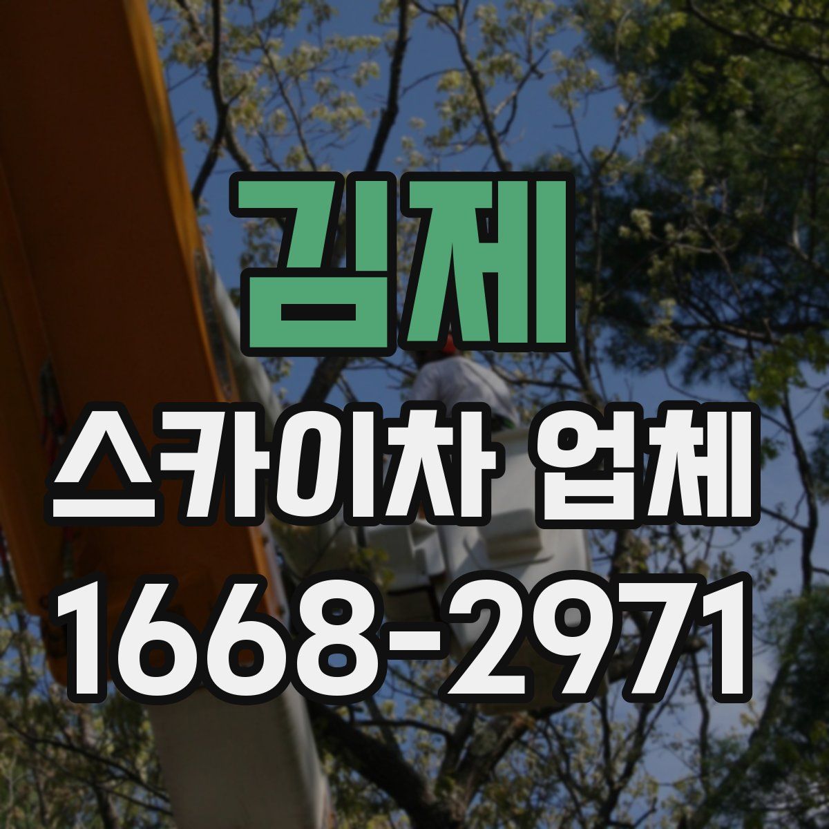 김제 스카이차 업체