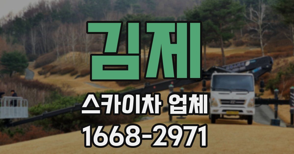 김제 스카이차 업체