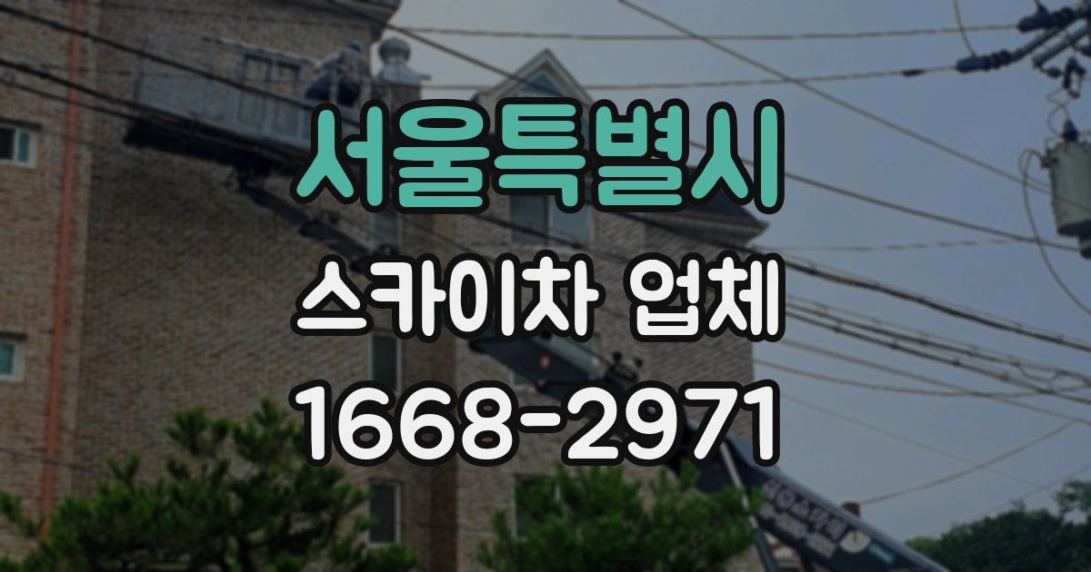 서울특별시 스카이차 업체