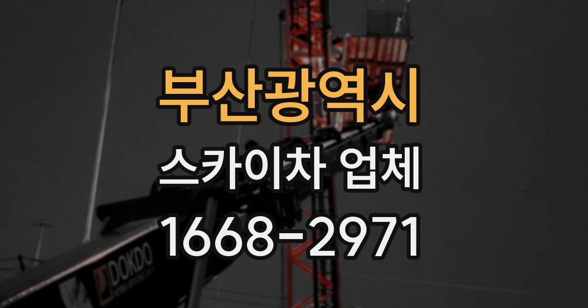 부산광역시 스카이차 업체