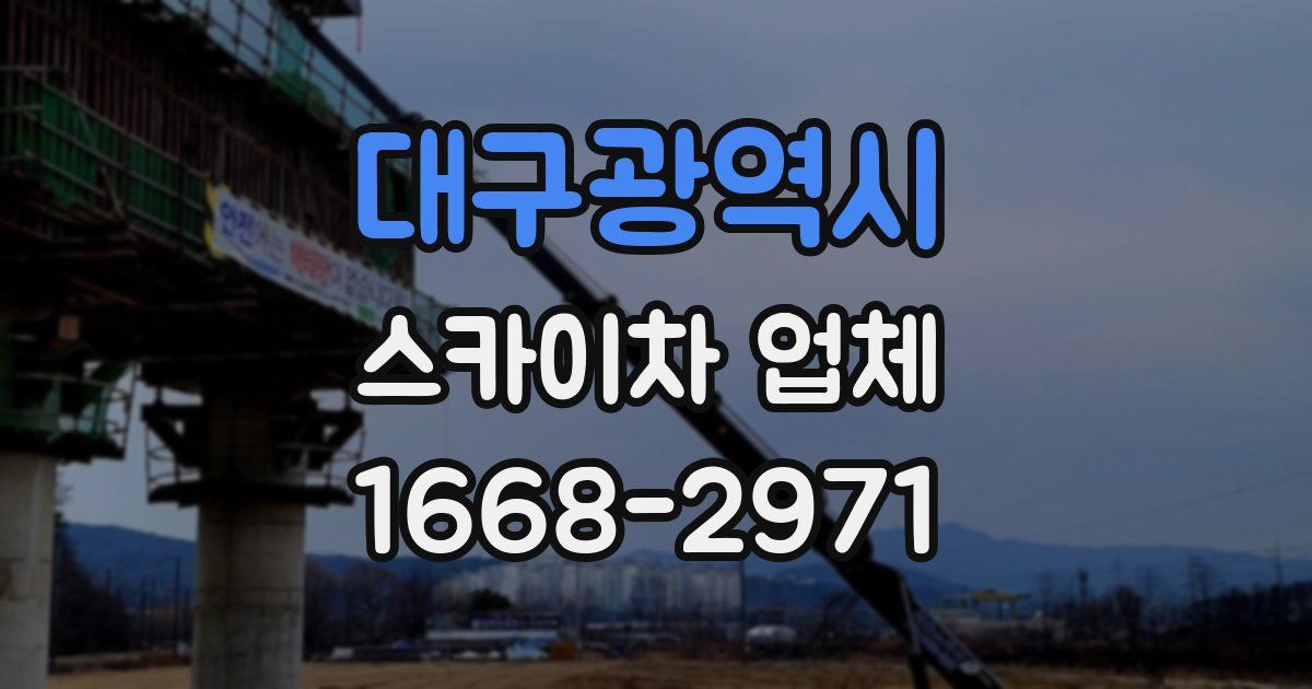 대구광역시 스카이차 업체