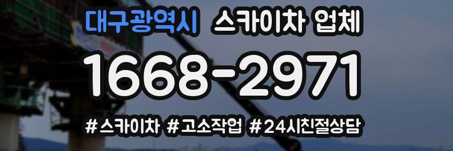 대구광역시 스카이차 업체