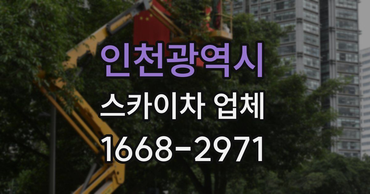 인천광역시 스카이차 업체