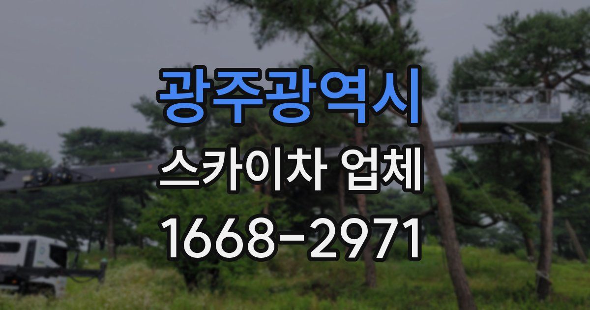 광주광역시 스카이차 업체