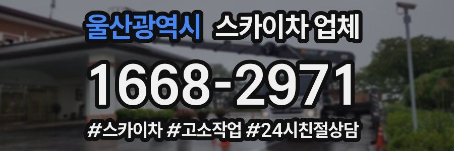 울산광역시 스카이차 업체