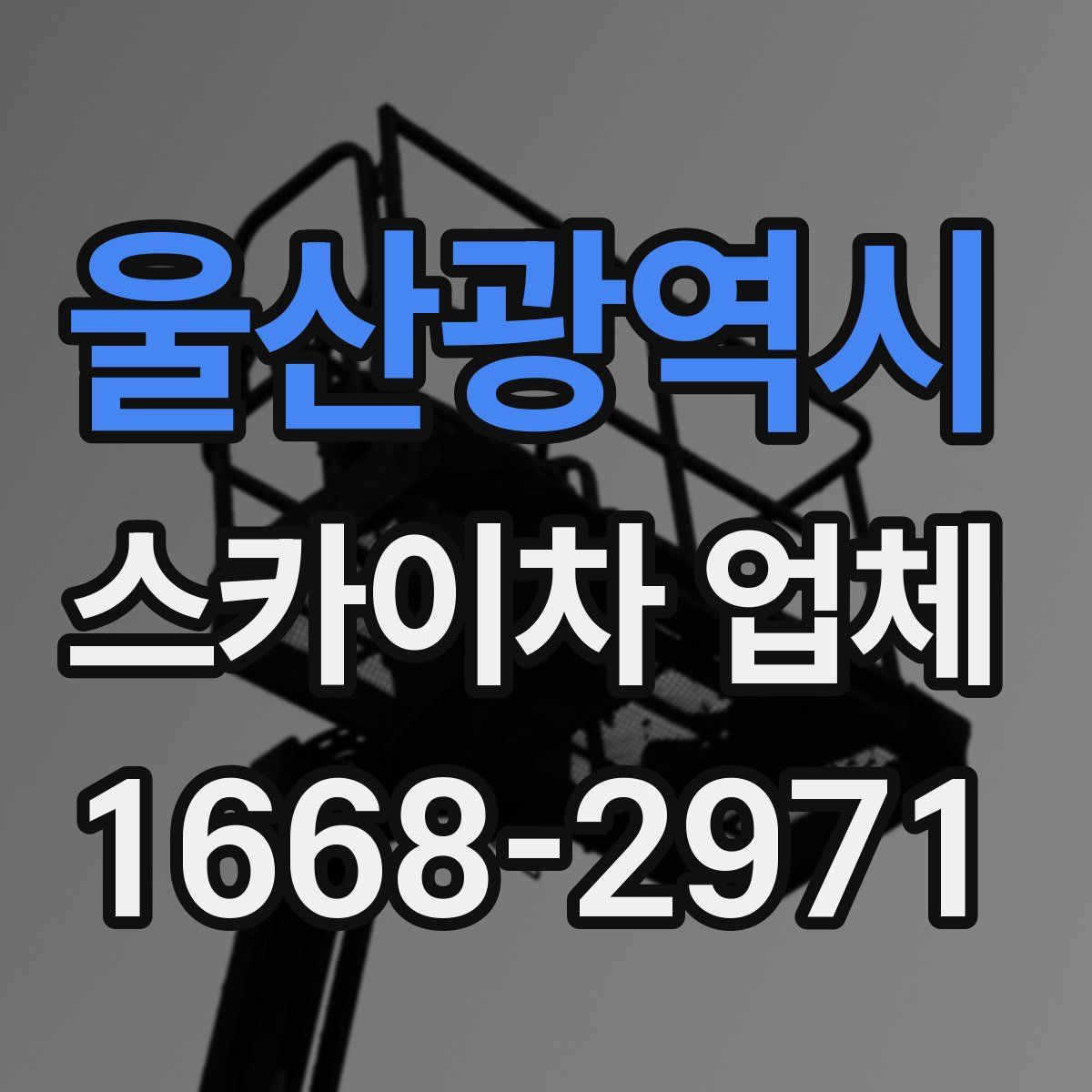 울산광역시 스카이차 업체