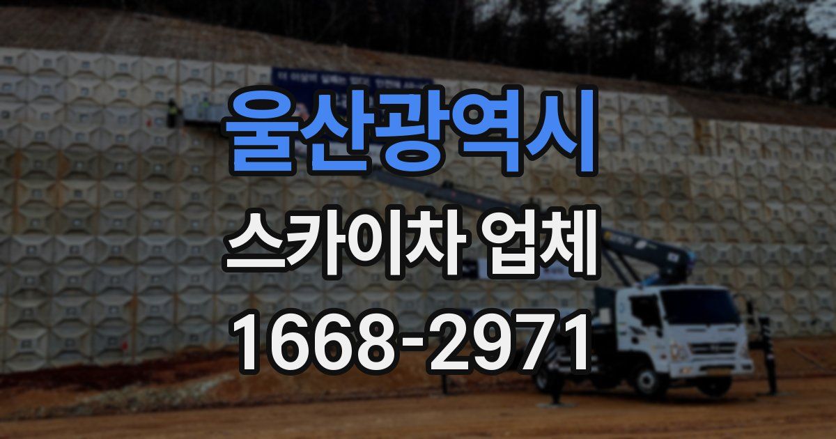 울산광역시 스카이차 업체
