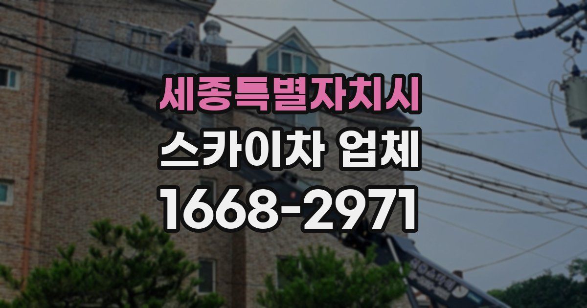 세종특별자치시 스카이차 업체