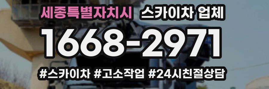 세종특별자치시 스카이차 업체
