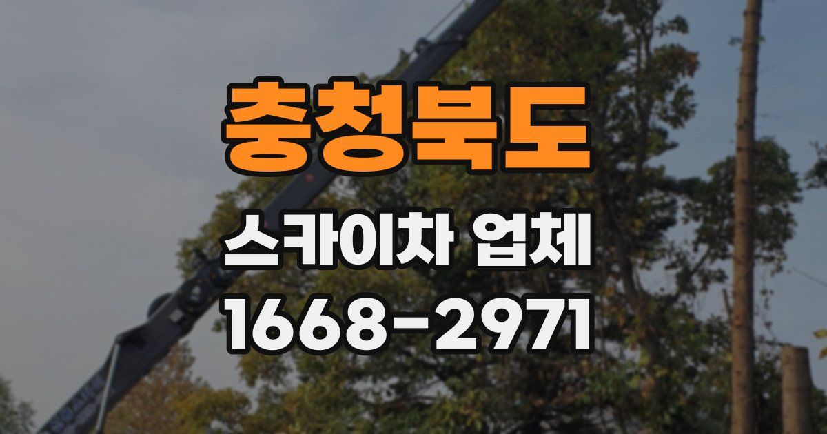 충청북도 스카이차 업체