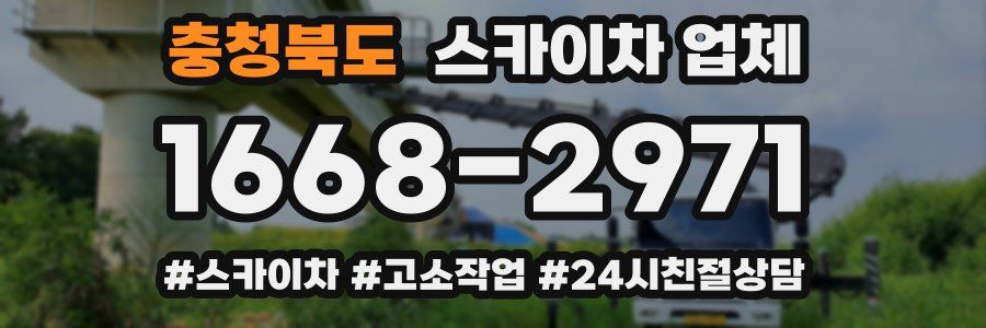 충청북도 스카이차 업체