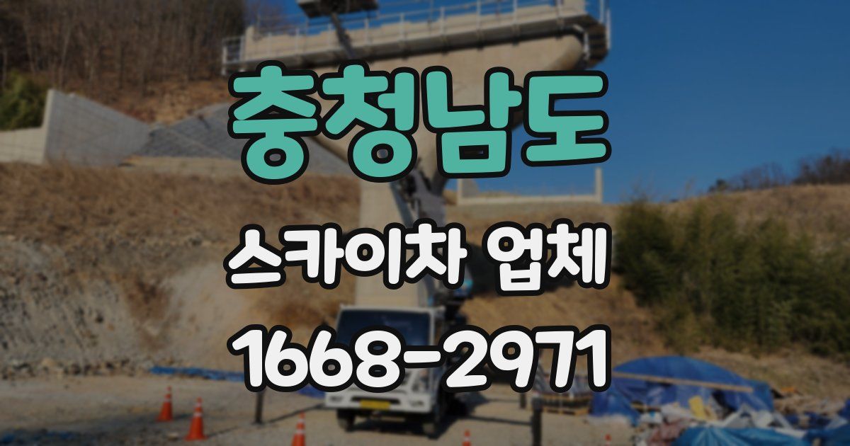 충청남도 스카이차 업체