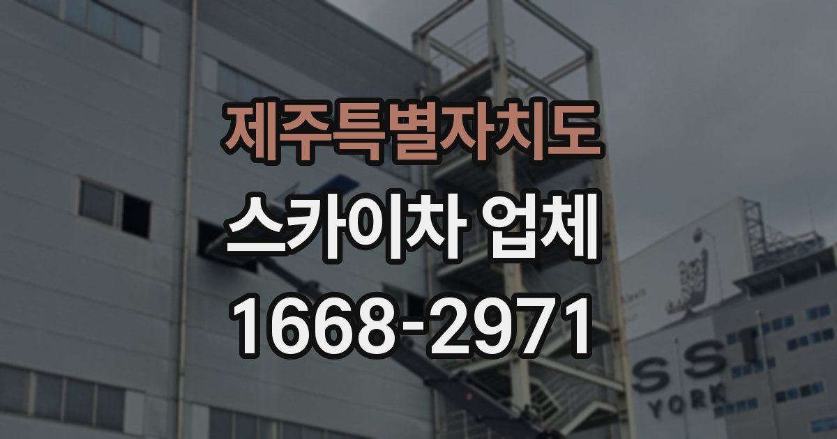 제주특별자치도 스카이차 업체