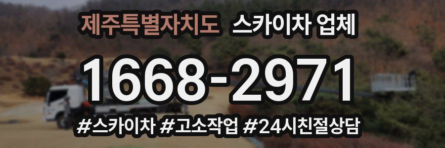 제주특별자치도 스카이차 업체