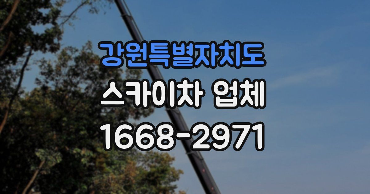 강원특별자치도 스카이차 업체