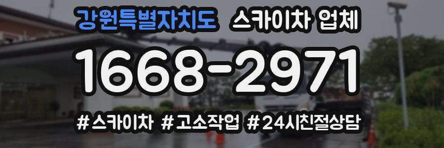 강원특별자치도 스카이차 업체