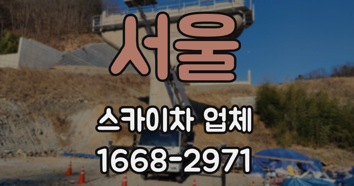서울 스카이차 업체