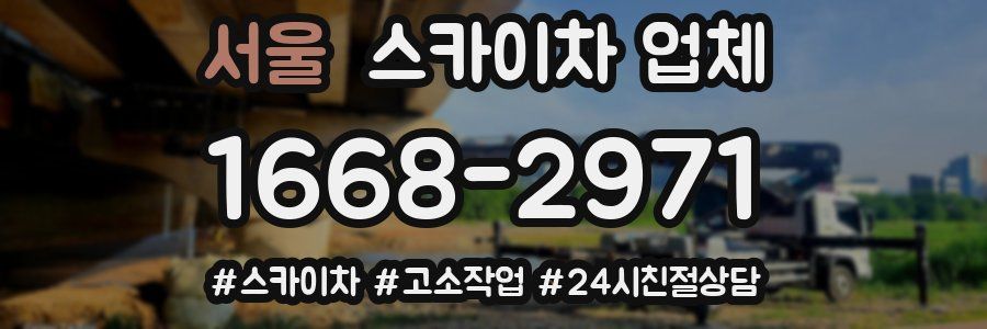 서울 스카이차 업체