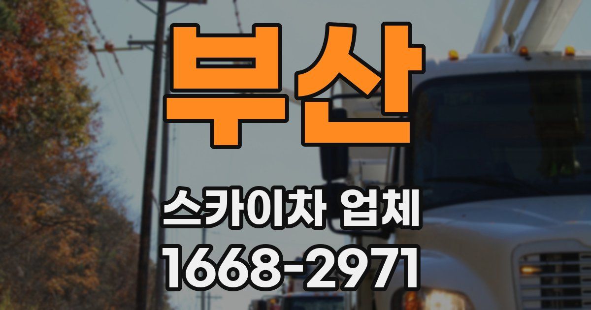 부산 스카이차 업체