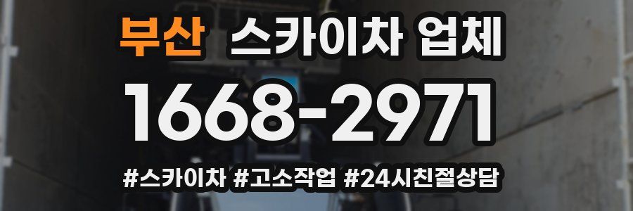 부산 스카이차 업체