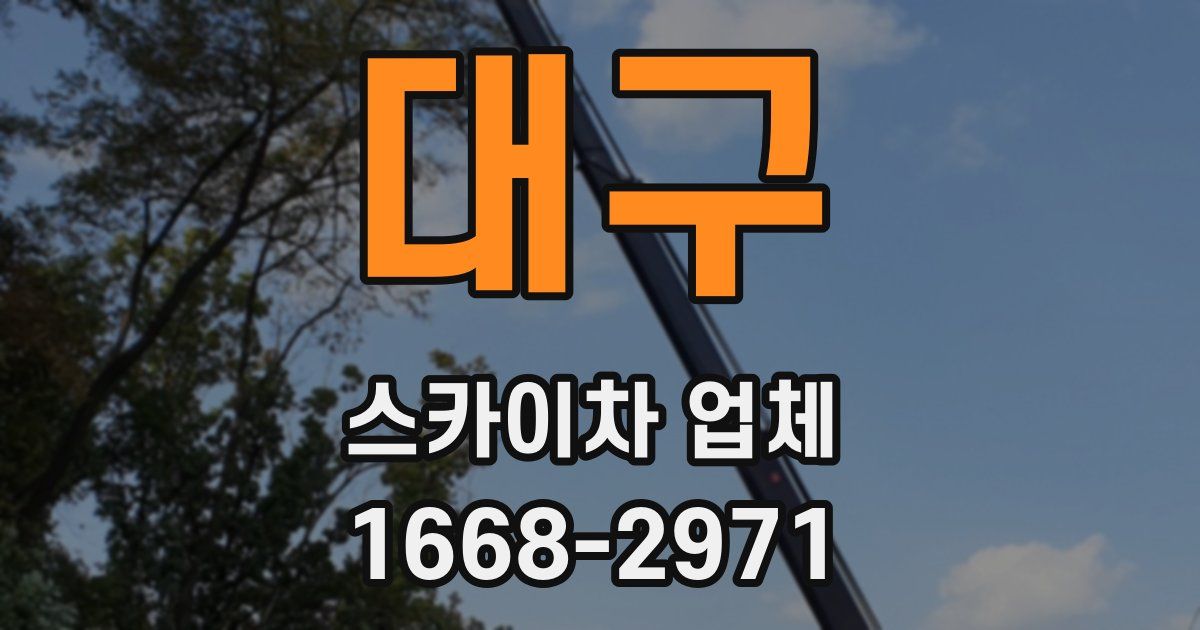 대구 스카이차 업체