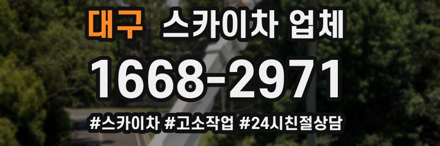 대구 스카이차 업체