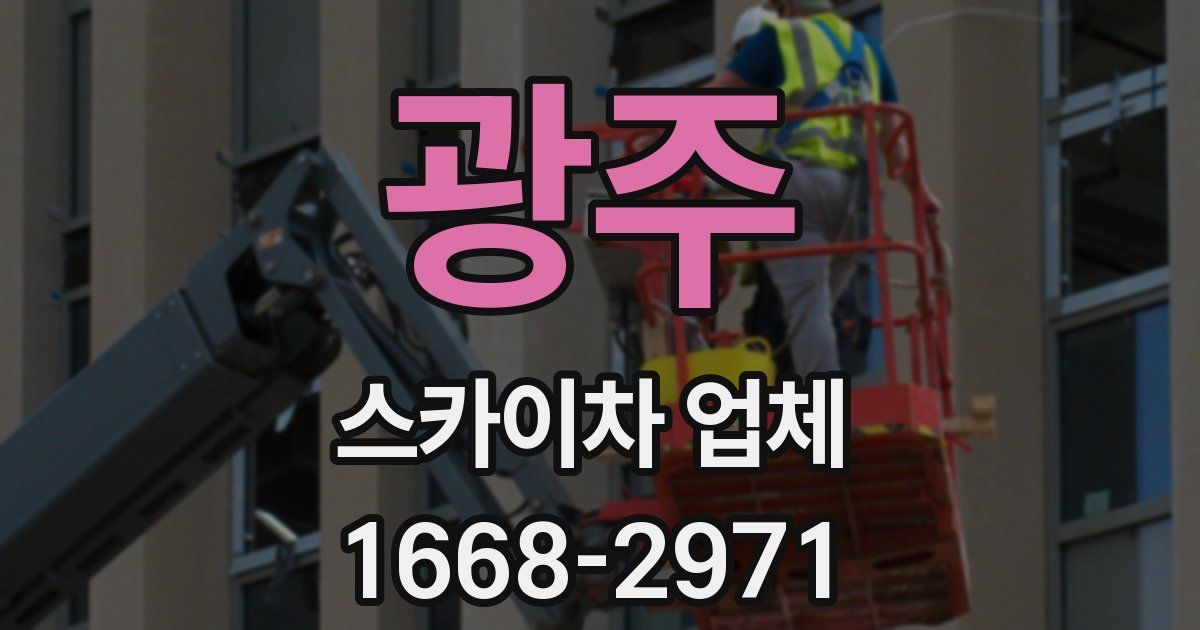 광주 스카이차 업체