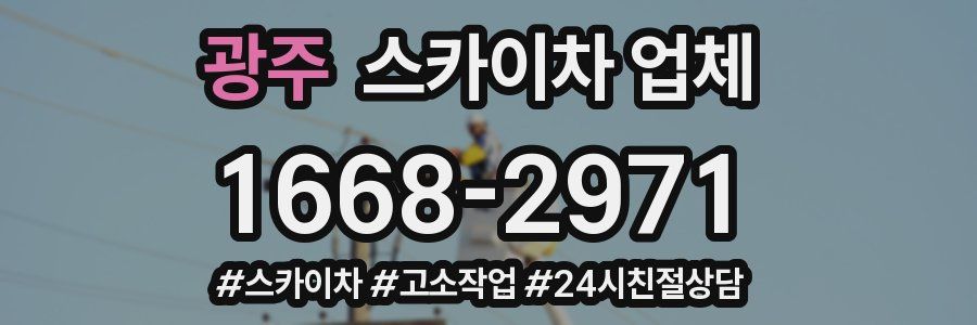 광주 스카이차 업체